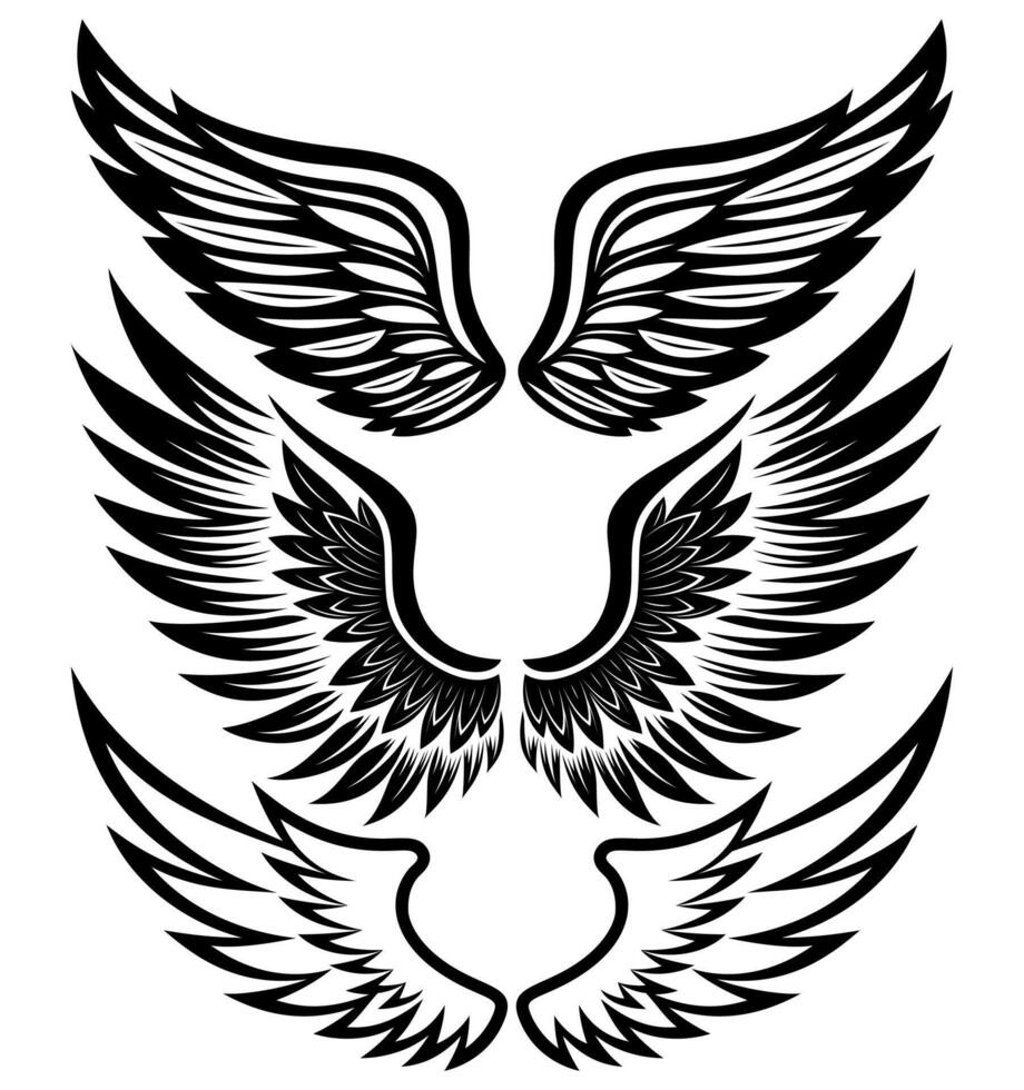 Set of Three Pairs of Stylized Black Angel Wings with Ornamental Feathers in Tribal Tattoo Style on White Background vector