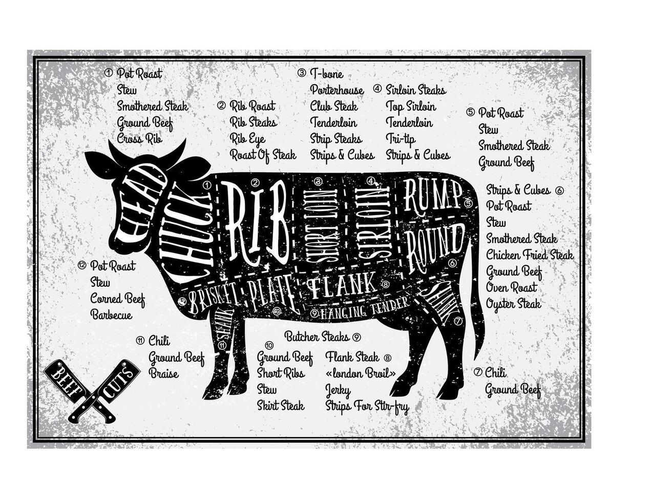 Diagram of beef cuts for cooking vector