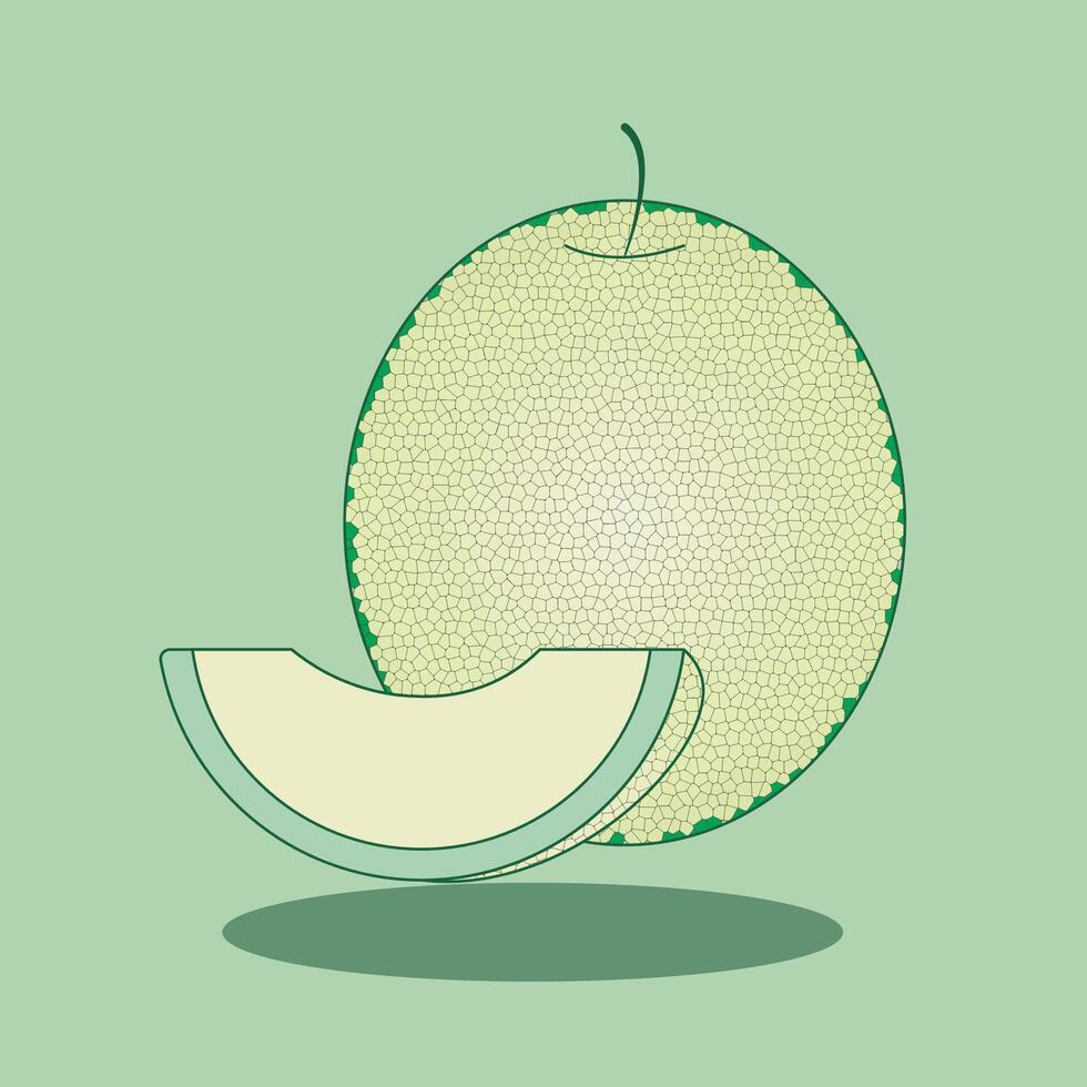 Melon Fruit Fruit Set Fresh and Colorful Fruit Illustrations vector