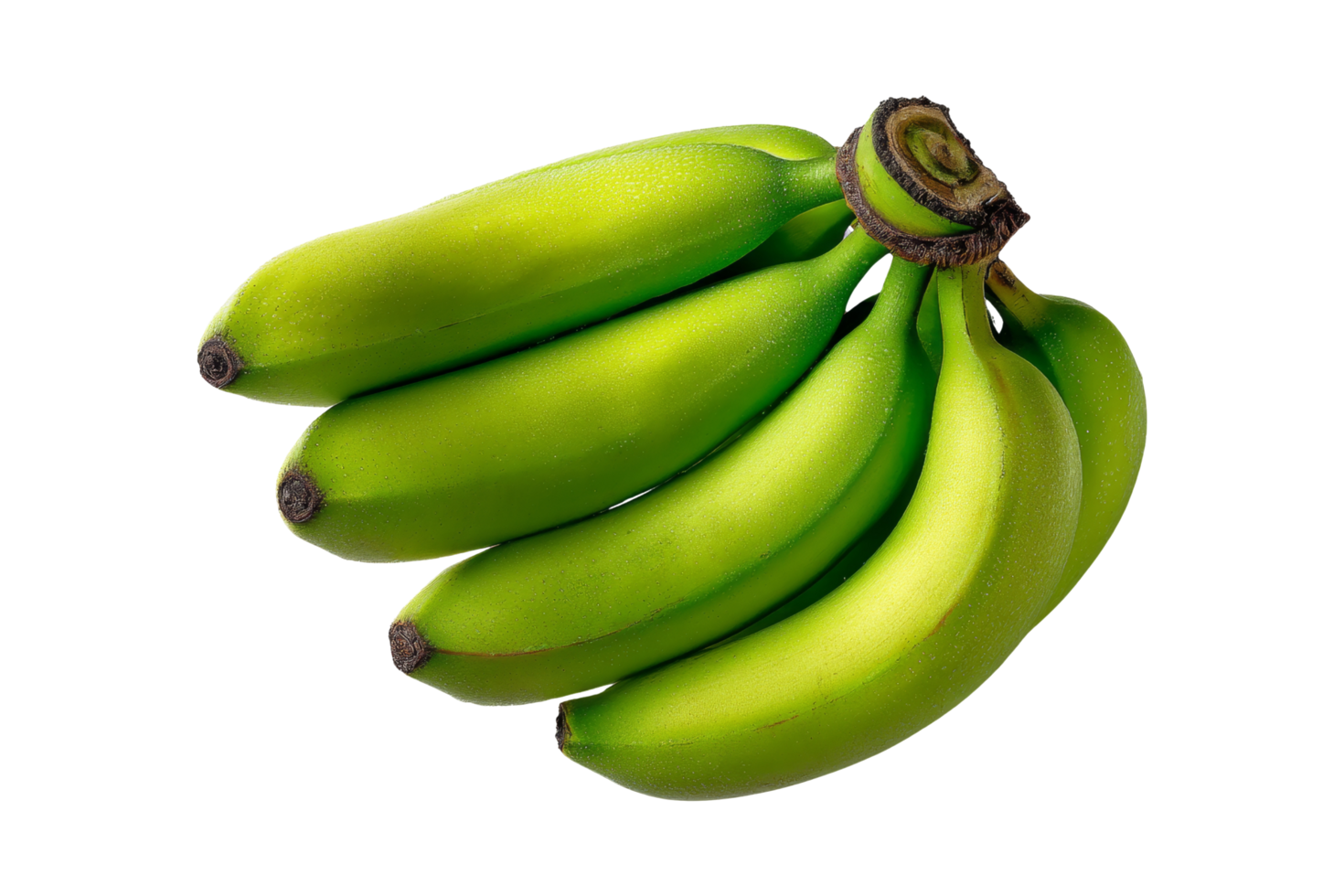 Harvesting fresh green bananas close-up png