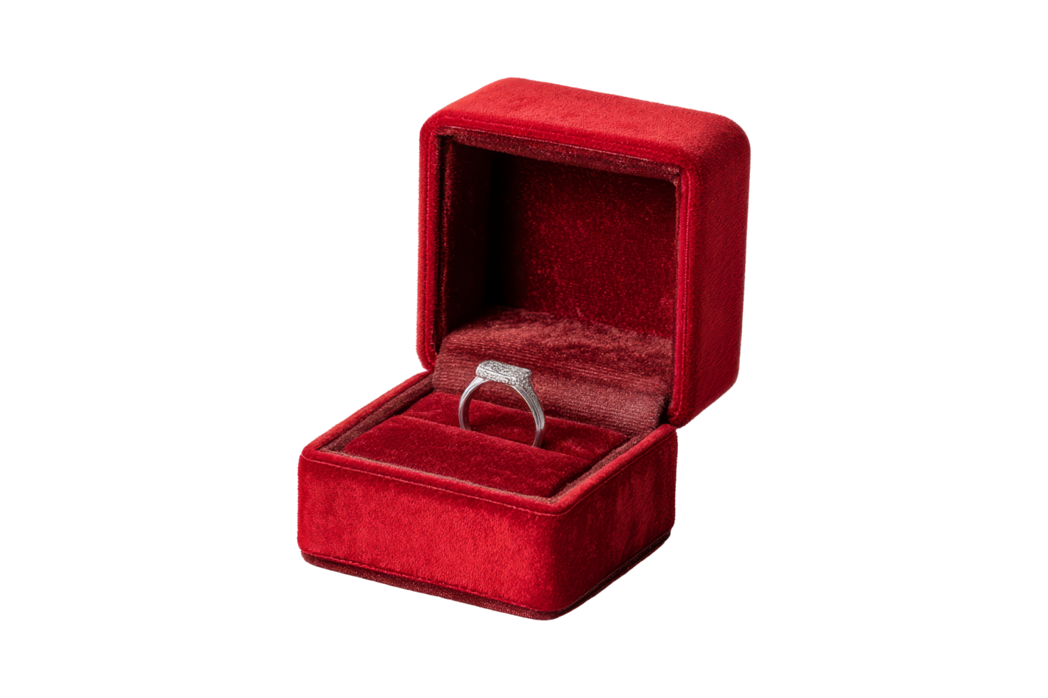 Engagement rings intimate display png