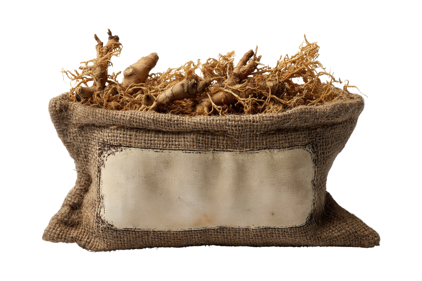 Close-up of ginger culinary roots png