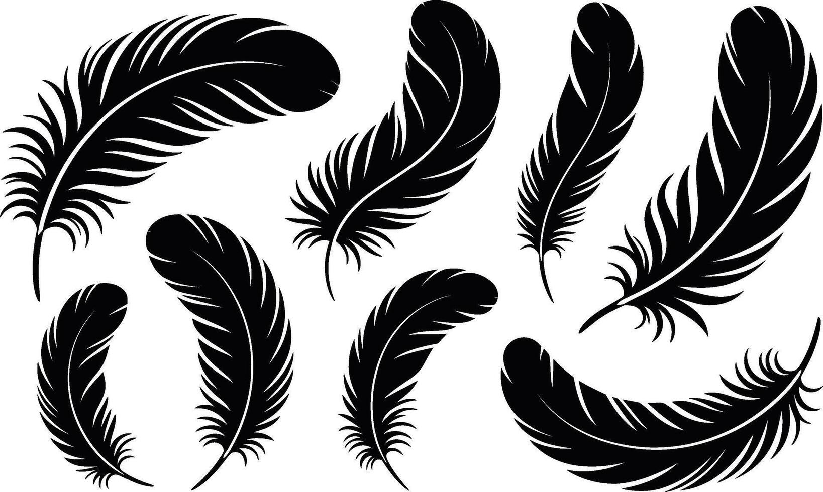 Elegant black feathers collection isolated on white background in style vector