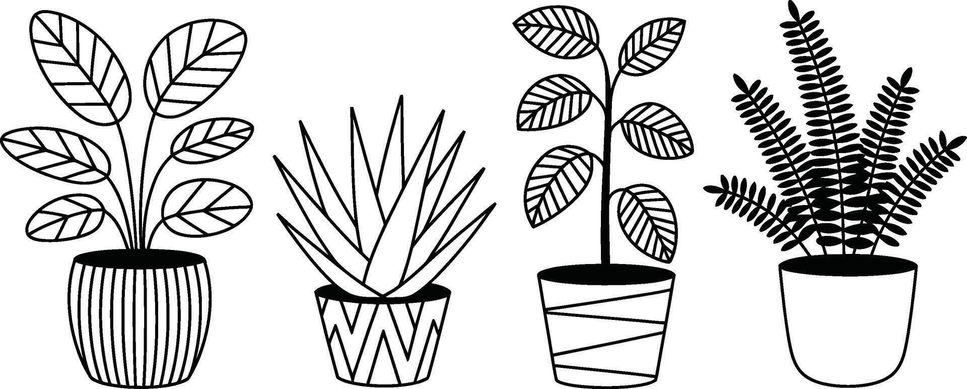 Minimalist line art illustration of potted plants for interior design concepts vector