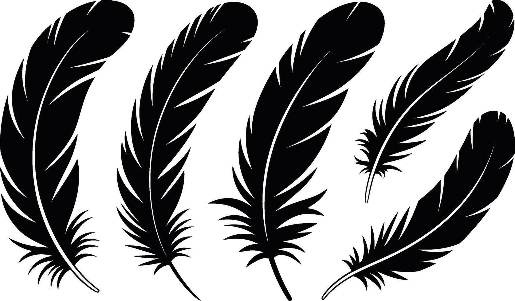 Black feather collection isolated on white background decorative elements silhouette set vector