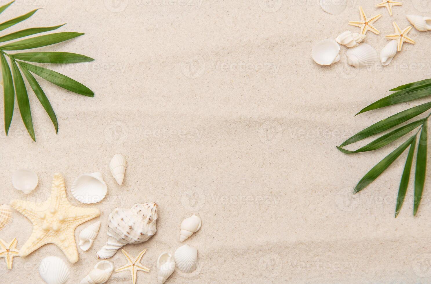 Tropical background featuring palm leaves, seashells, and starfish on sand photo