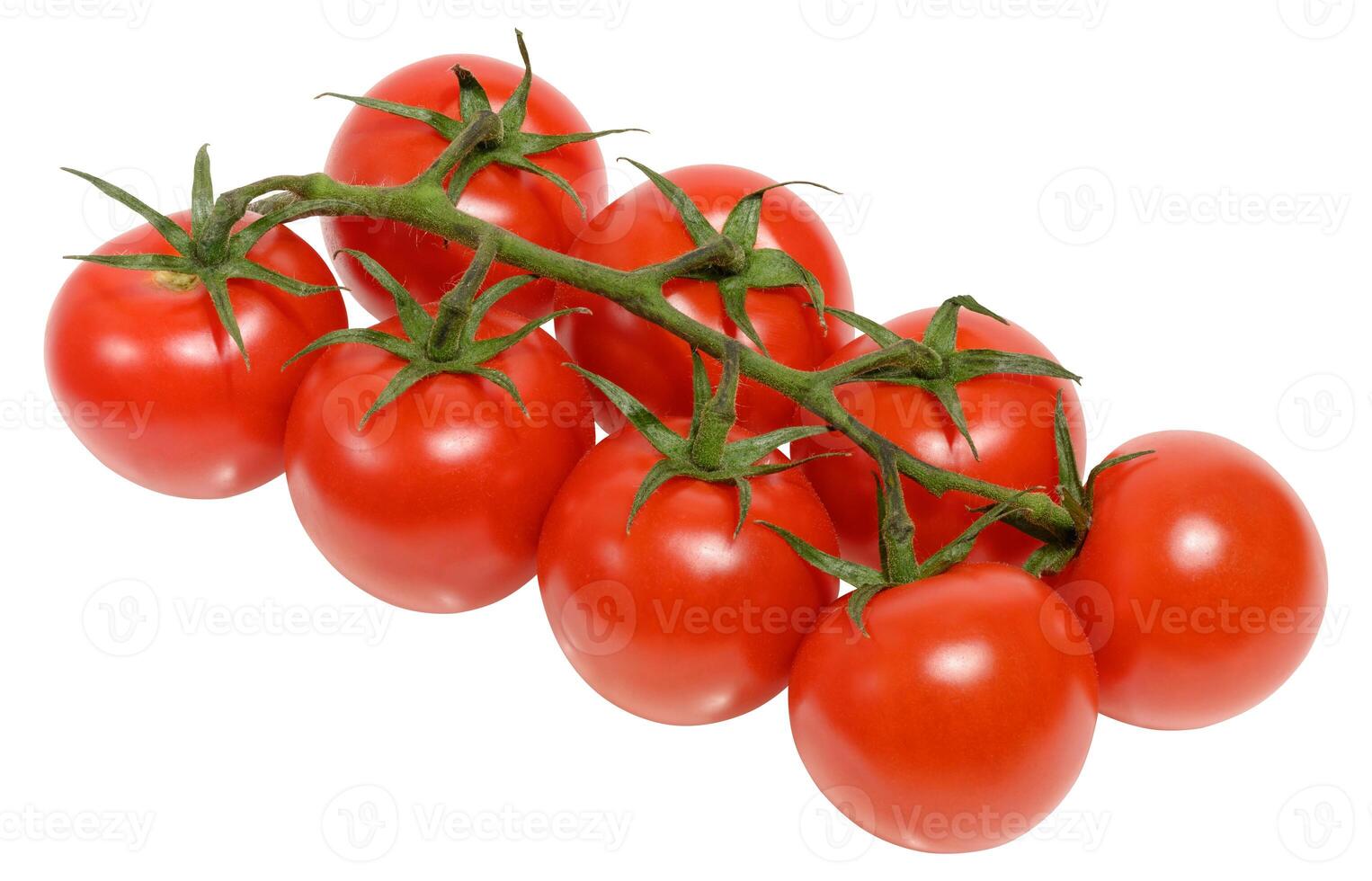 Fresh cherry tomatoes on the vine, isolated background. Juicy red tomatoes with green stems, perfect for salads photo