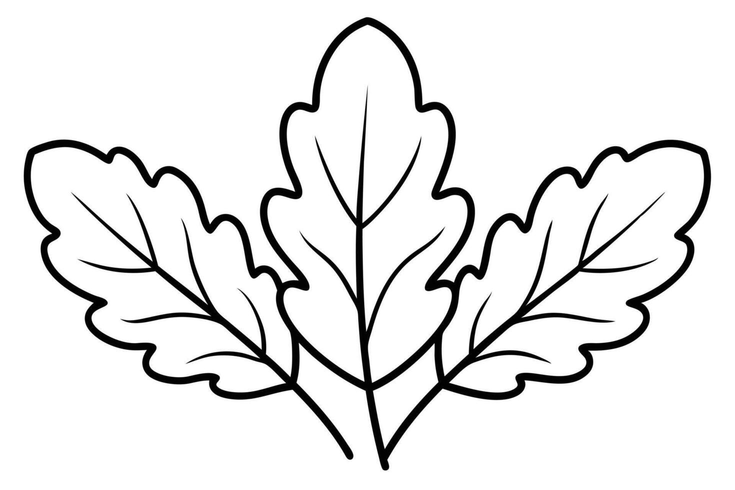 Serene Black and White Drawing of Three Oak Leaves, Simple Nature Illustration, Peaceful Botanical Artwork, Elegant Line Art Design vector