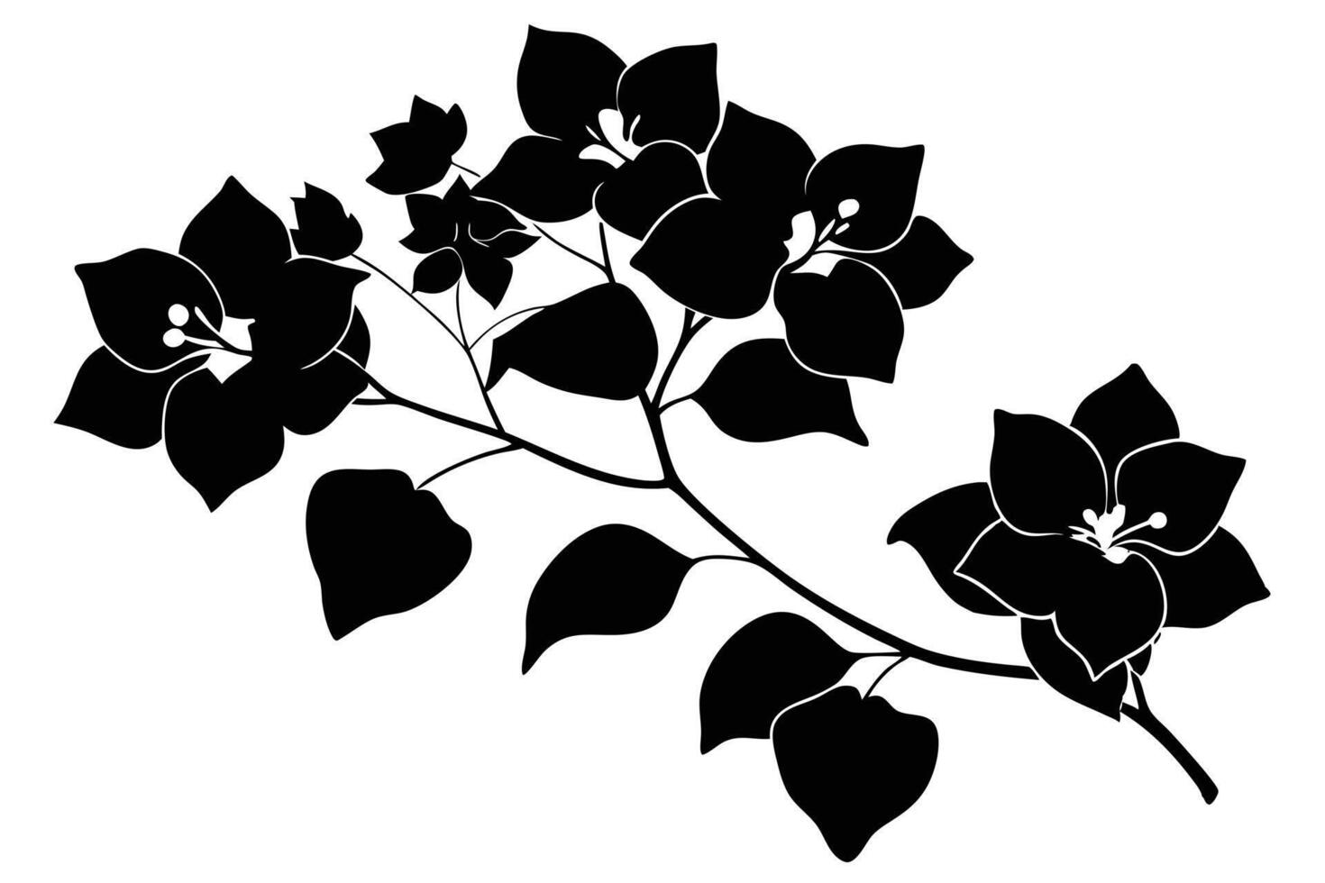 Elegant Black Bougainvillea Silhouette Dramatic Branch of Flowers in Striking Monochrome, Isolated on White Background vector