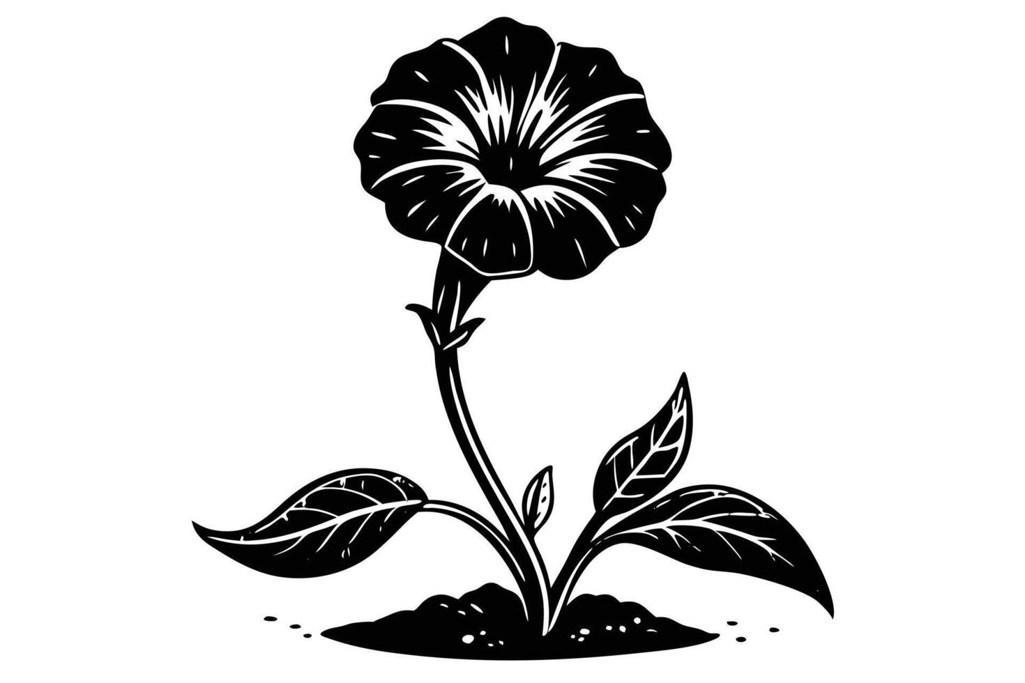 Elegant Black and White Illustration of a Moonflower Blooming in the Garden, Evoking a Serene and Mysterious Mood vector
