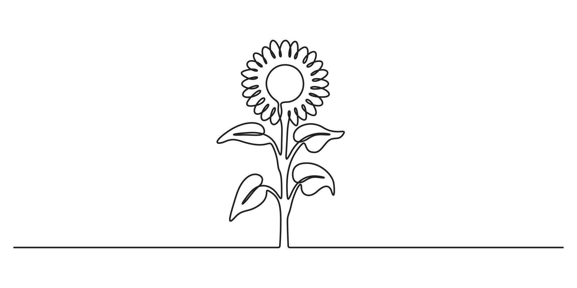 Continuous one line drawing of sun flower isolated on white background graphic illustration vector
