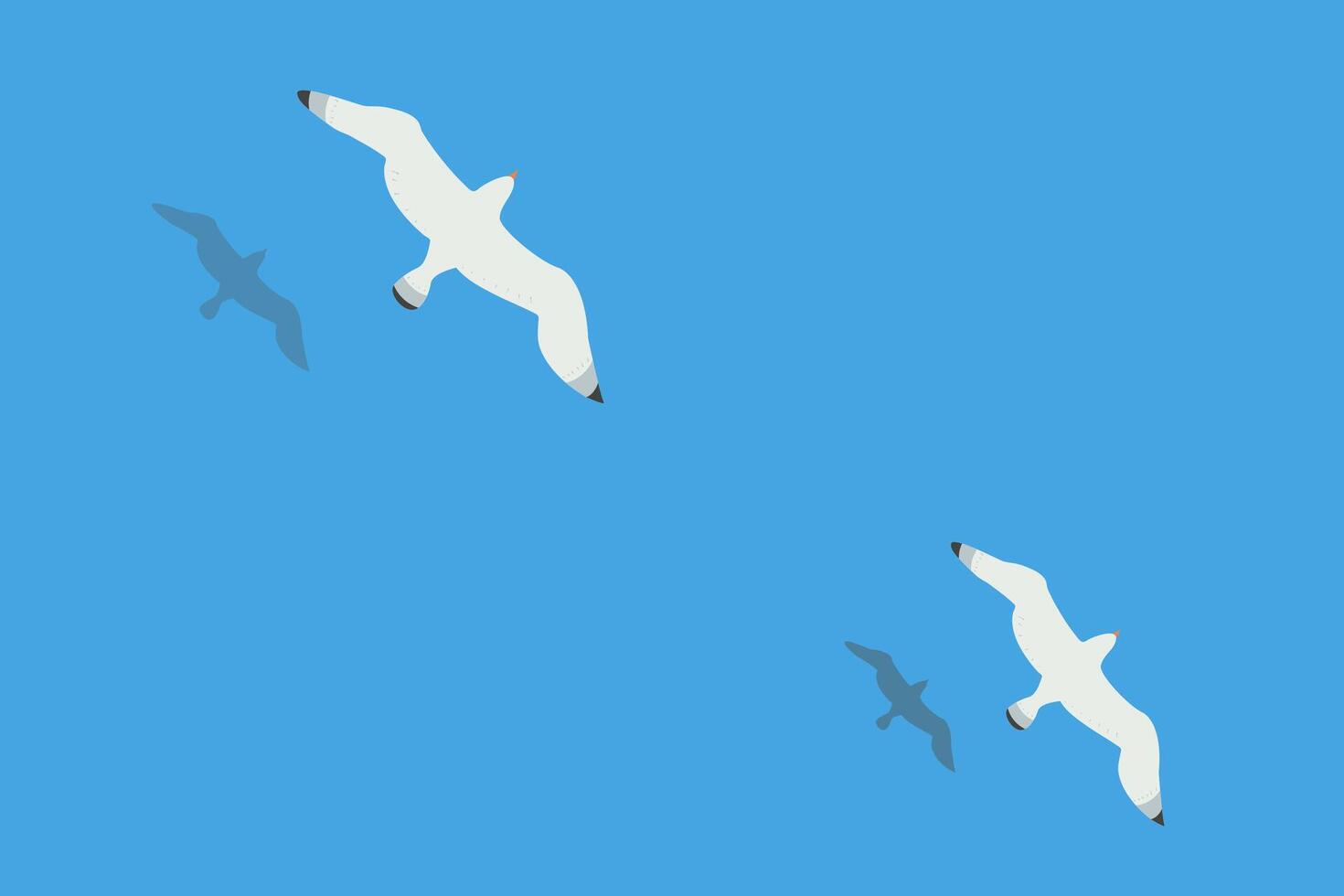 Two seagulls soar over the surface of the sea or ocean. Shadows of the birds are reflected in the water. vector