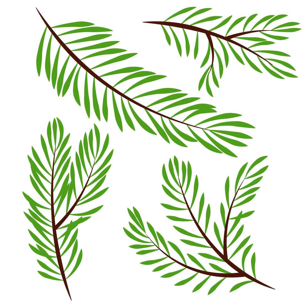 Set of different flat Christmas tree branches vector