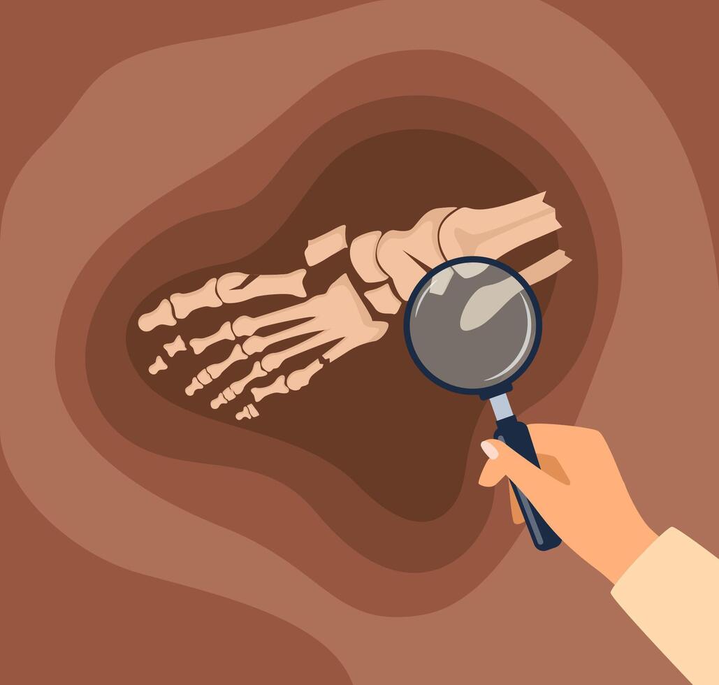 Hand holding magnifying glass over skeleton vector