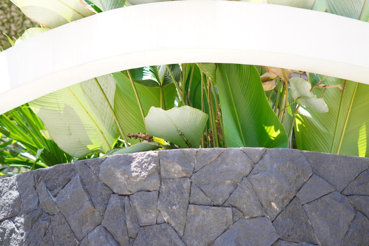 A corner of a building with stone walls and banana plants as garden decoration during the day photo