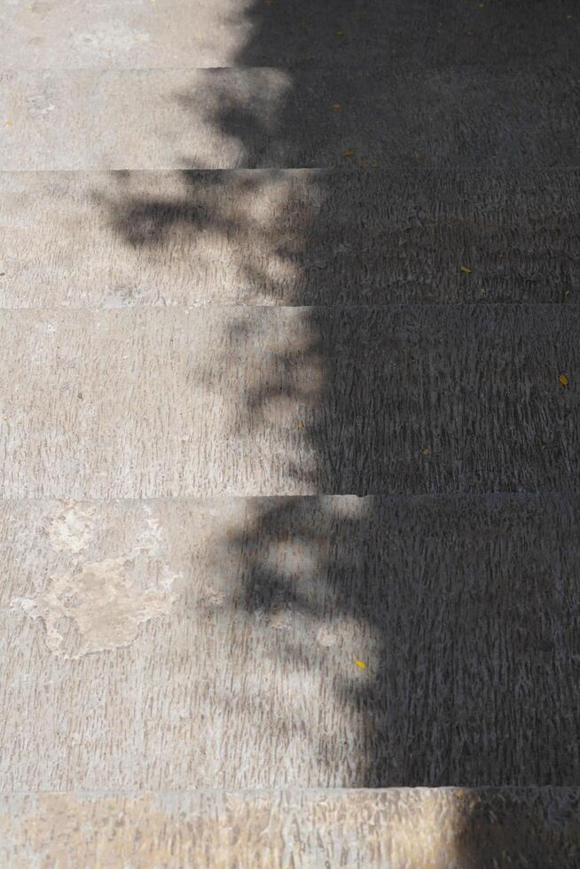 Shadows of tree leaves on a cement staircase during the day in potrait mode photo