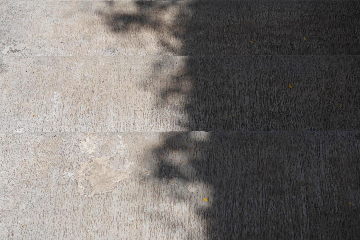 Shadows of tree leaves on a cement staircase during the day photo