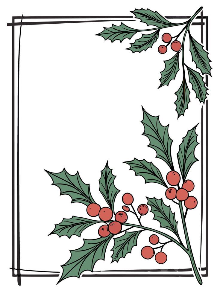 Christmas holly leaves vector
