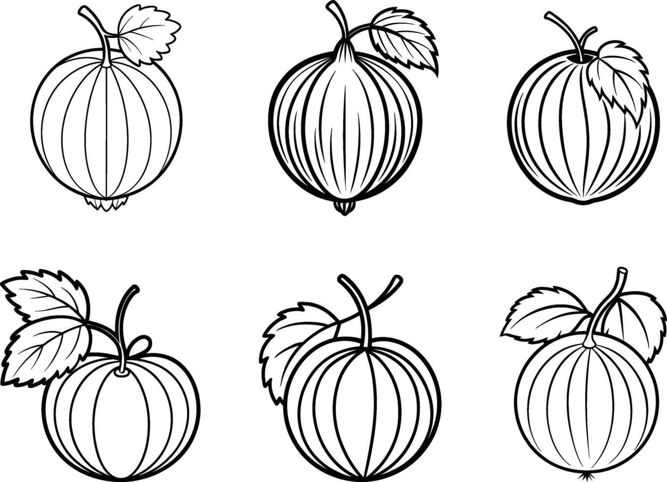 Set of gooseberry sketch engraving drawing illustration on black and white. vector