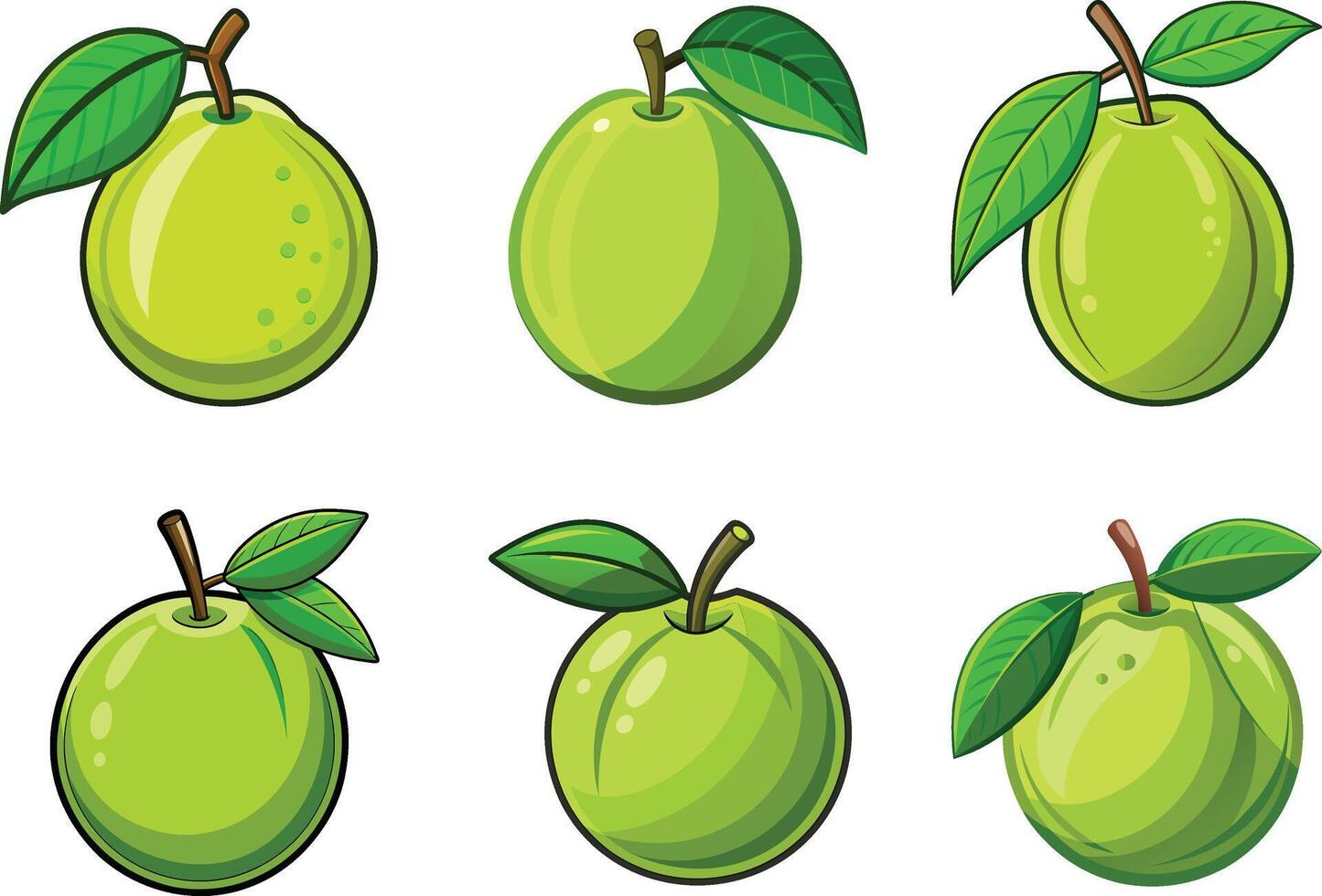 Guava fruits illustration on white background. vector
