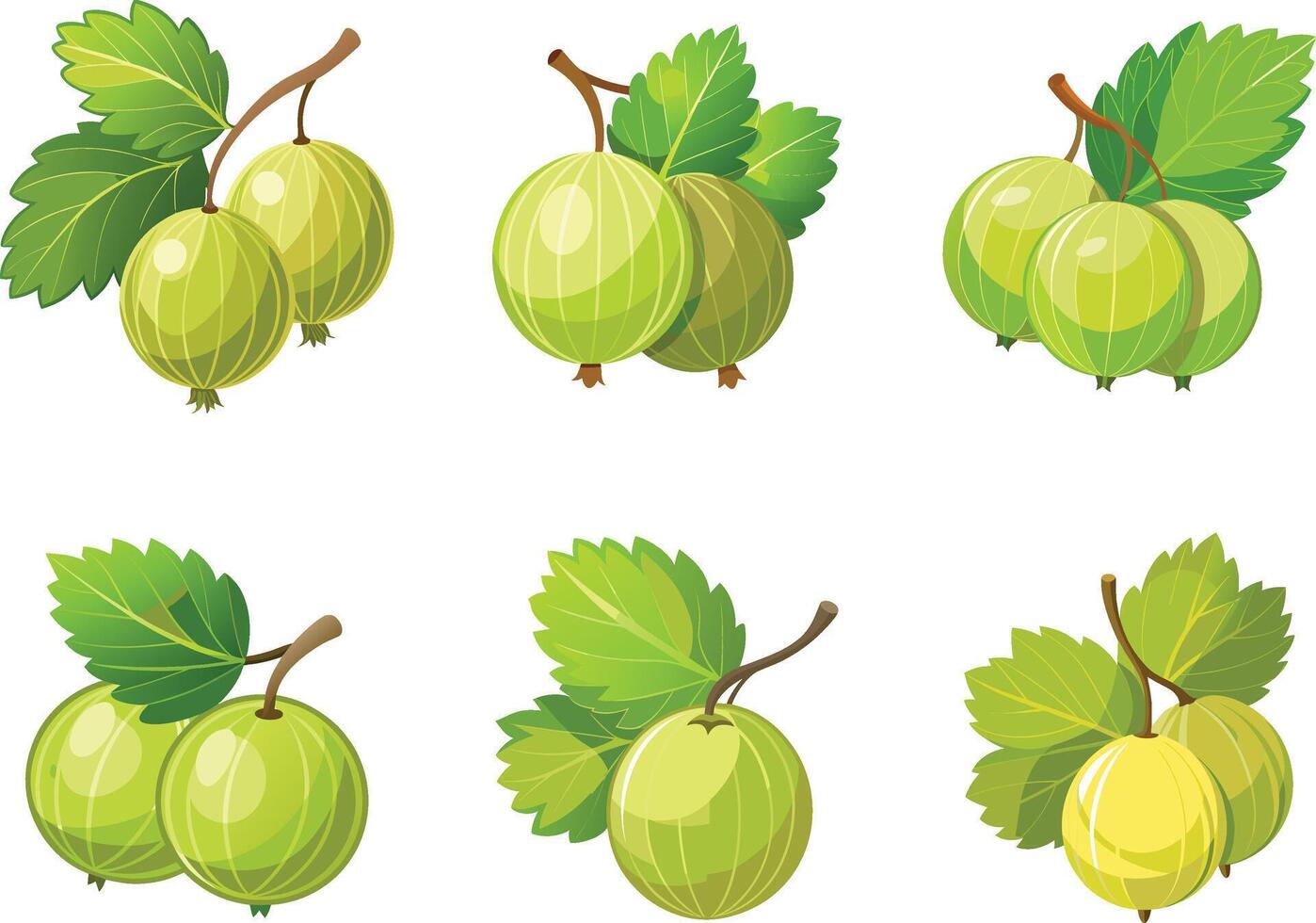 Green gooseberry fruit set illustration vector