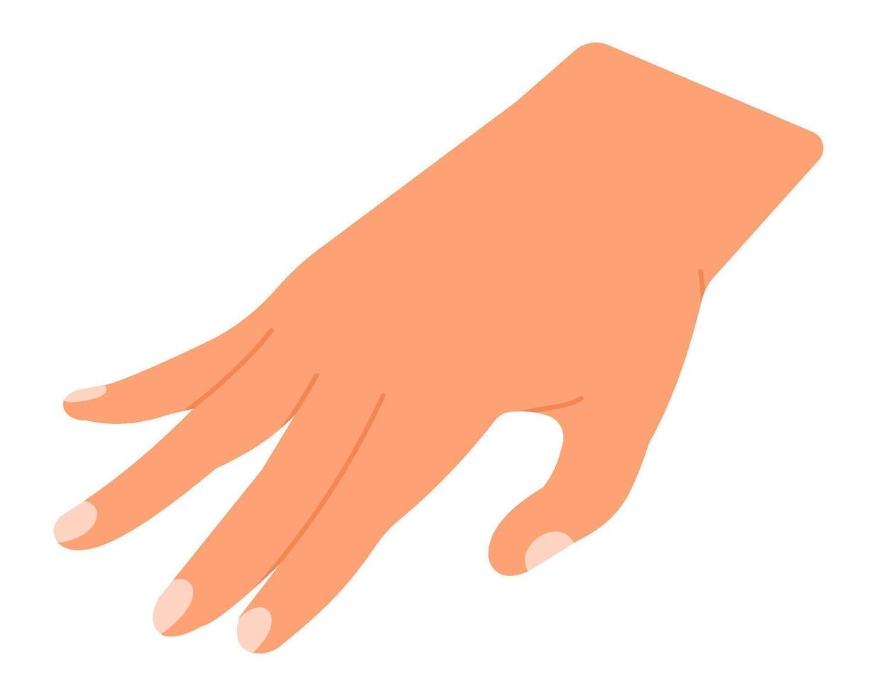 Open hand with visible nails reaching down to pick up a small object, showcasing delicate fingers in a careful and gentle movement against a clean white background vector
