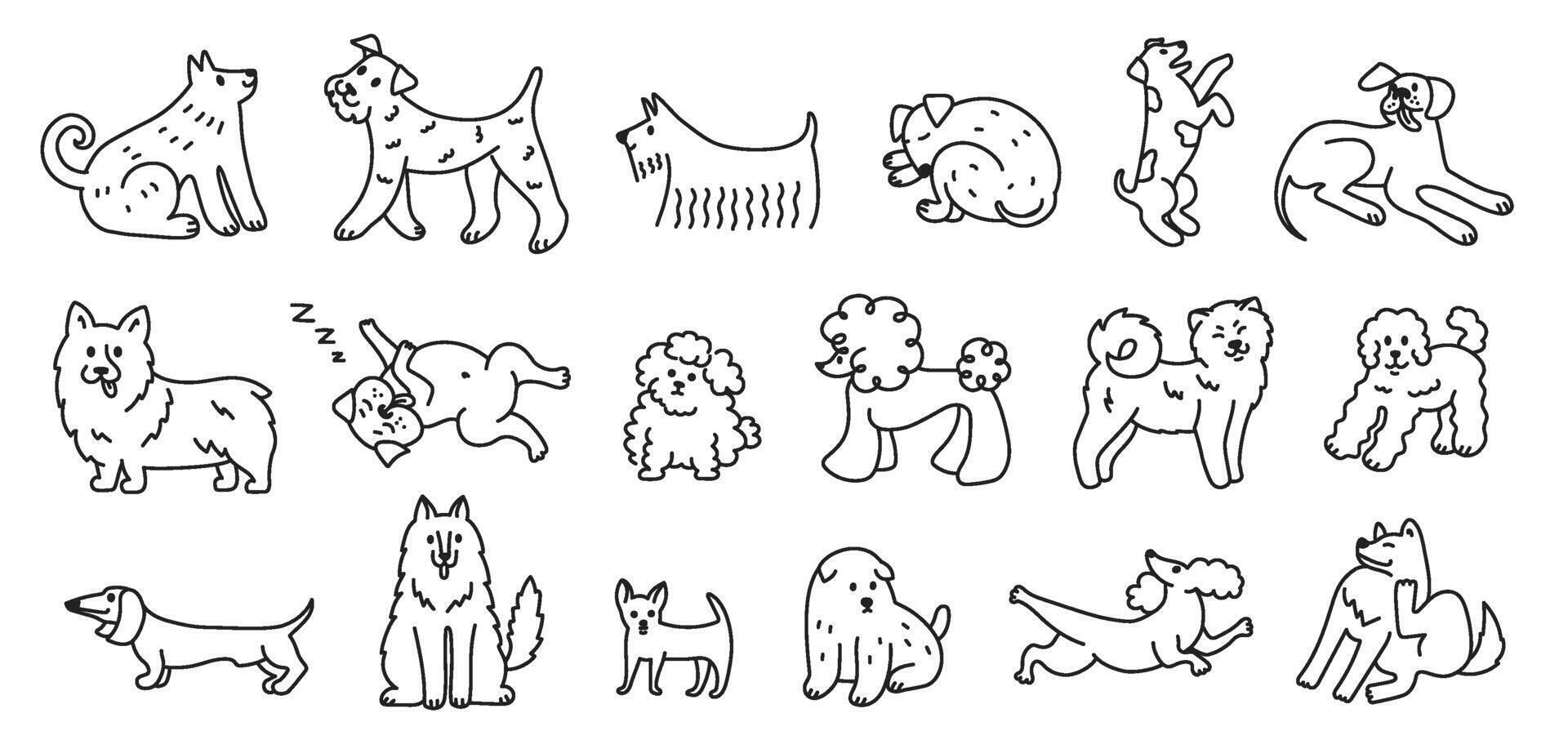 Cute line dogs. Dog breed doodles, hand drawn puppy linear sketches with poodle, husky, dachshund, terrier and other breeds for veterinary clinic or pet shop designs. set vector