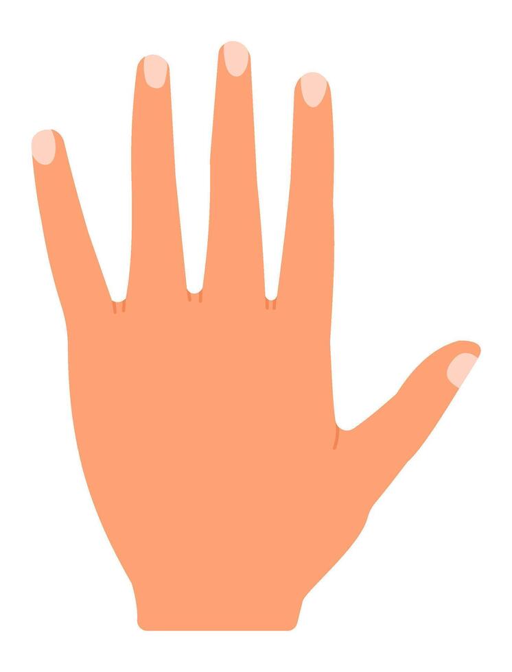 Cartoon open hand displaying five fingers against a white background, symbolizing the number five for counting, voting, greeting, or expressing communication gestures vector