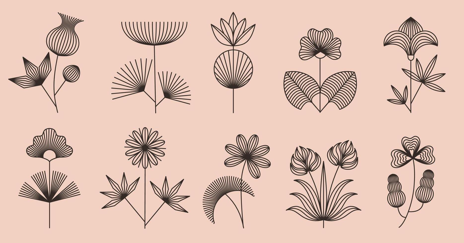 Linear boho flowers. Floral line art, bohemian style blooming plants with geometric flower and leaves. Abstract botanical isolated illustrations set with editable stroke path vector
