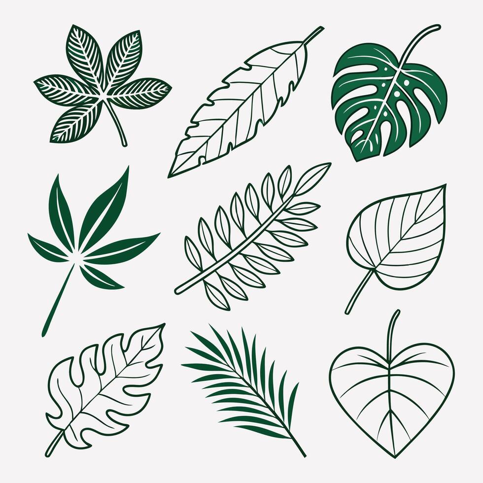 Icon Set of Nine Diverse Green Leaves Botanical Illustrations Outline and Filled Styles vector