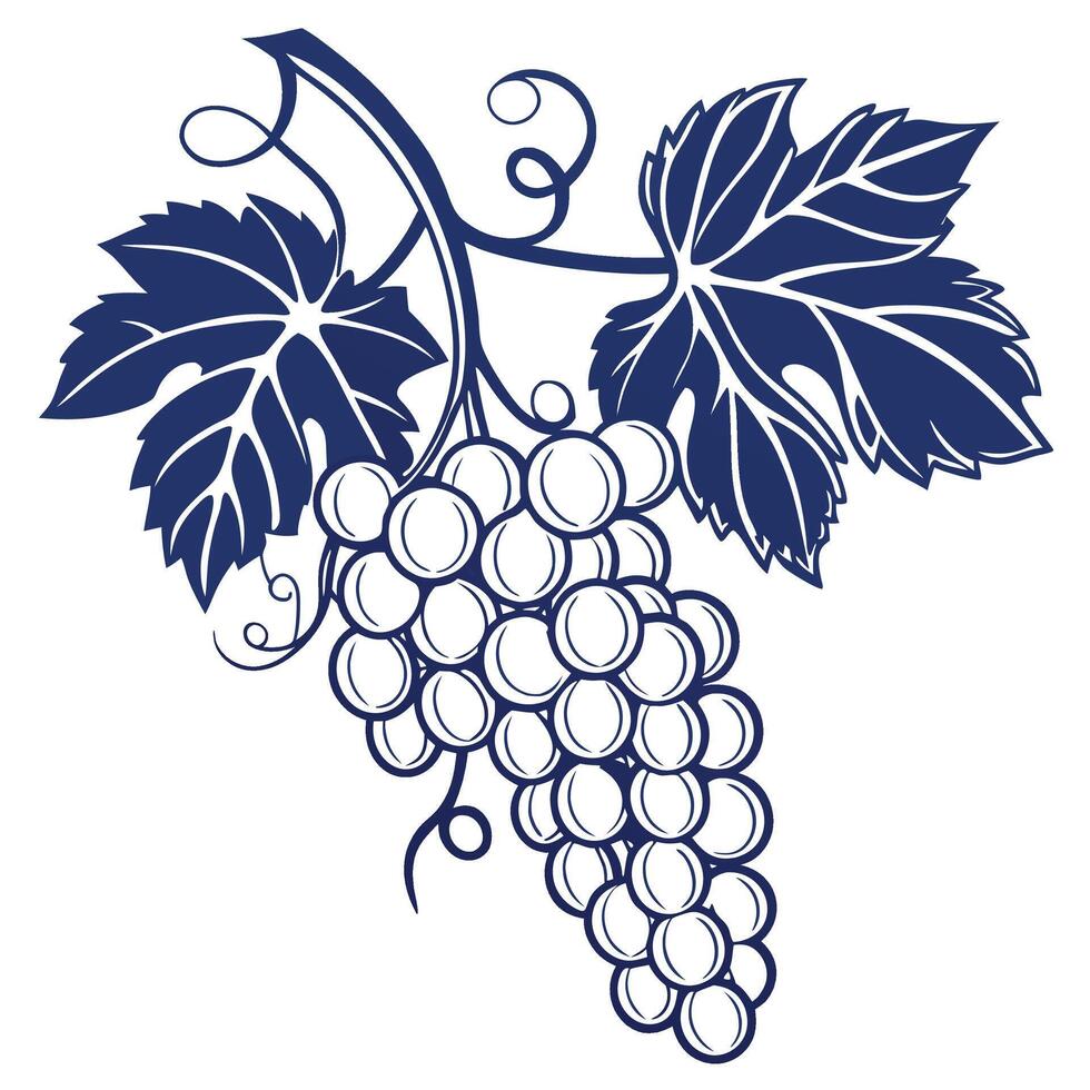 a fresh icon of a bunch of grapes detailed vector