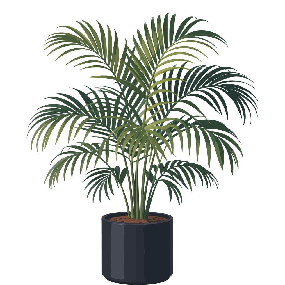 Flat Style Parlor Palm Illustration on White. vector