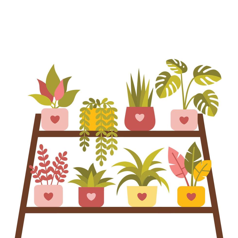 House plants on a shelf vector