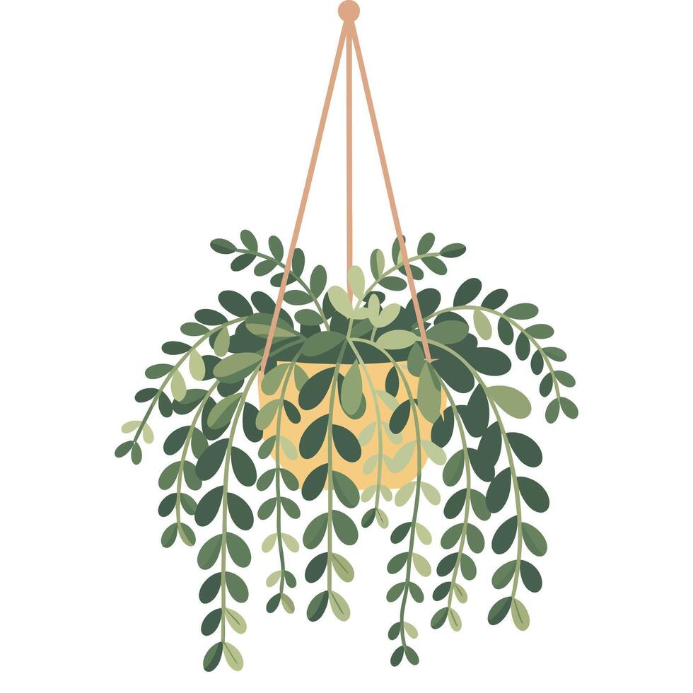 A hanging plant with green leaves vector