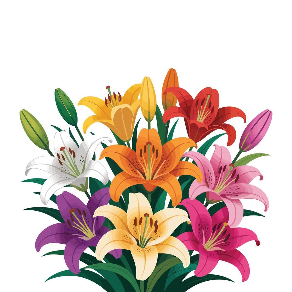 A bouquet of lilies on a white background vector