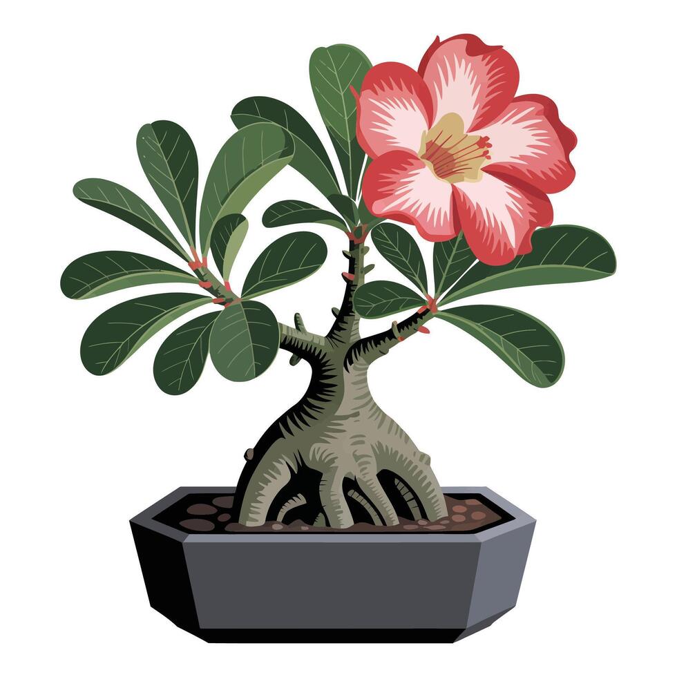 A bonsai tree with pink flowers in a pot vector