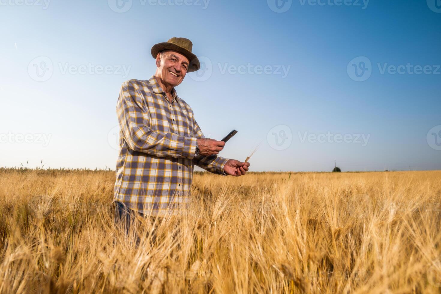 Satisfied farmer in his wheat field is using smartphone photo