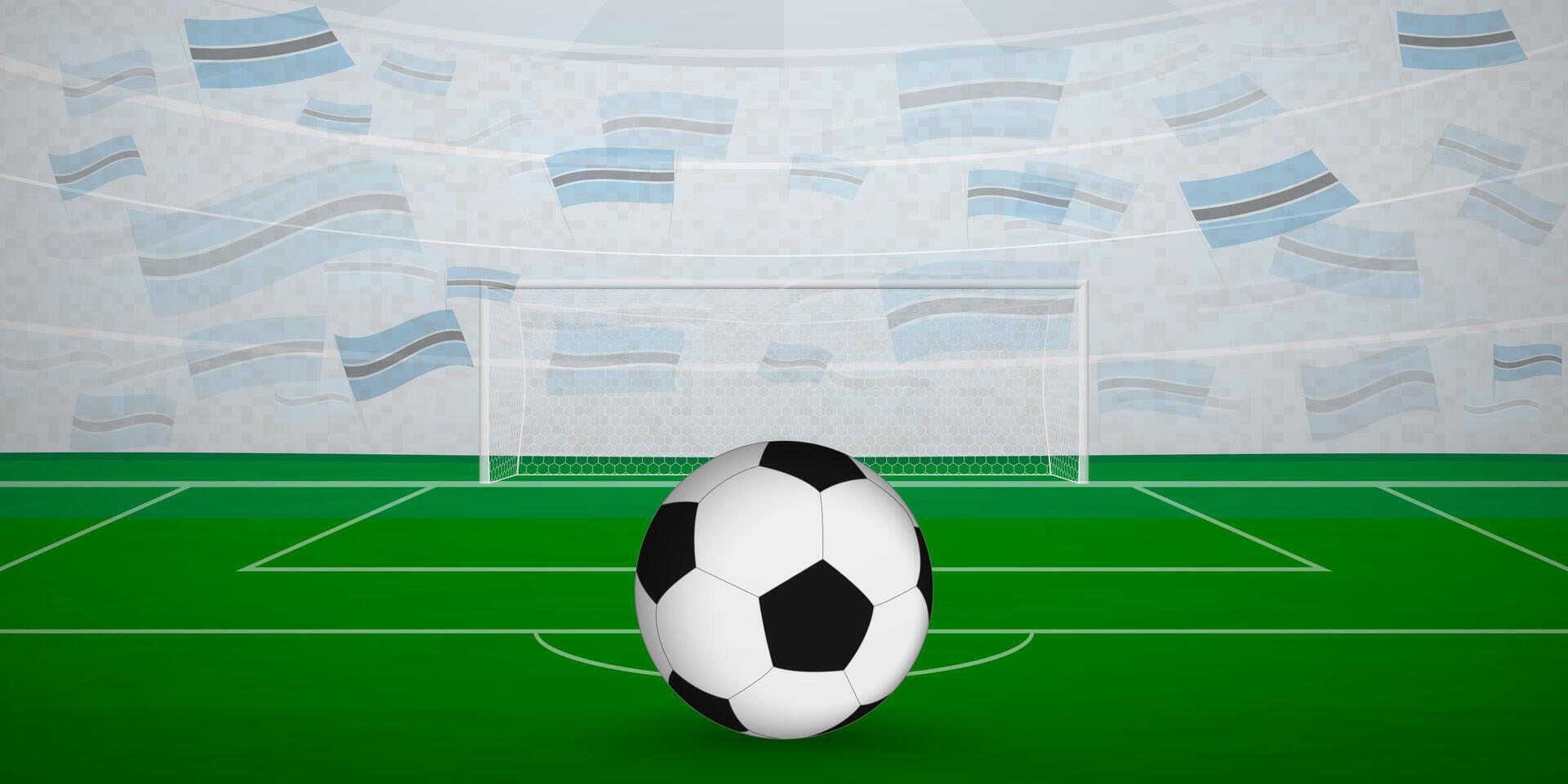 Botswanan Football Arena Full of Fans with National Flags, Sports Event Illustration. vector