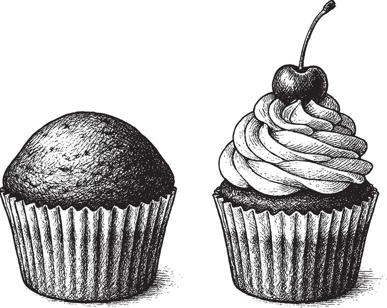 Detailed hand-drawn cupcakes with cherry and frosting vector