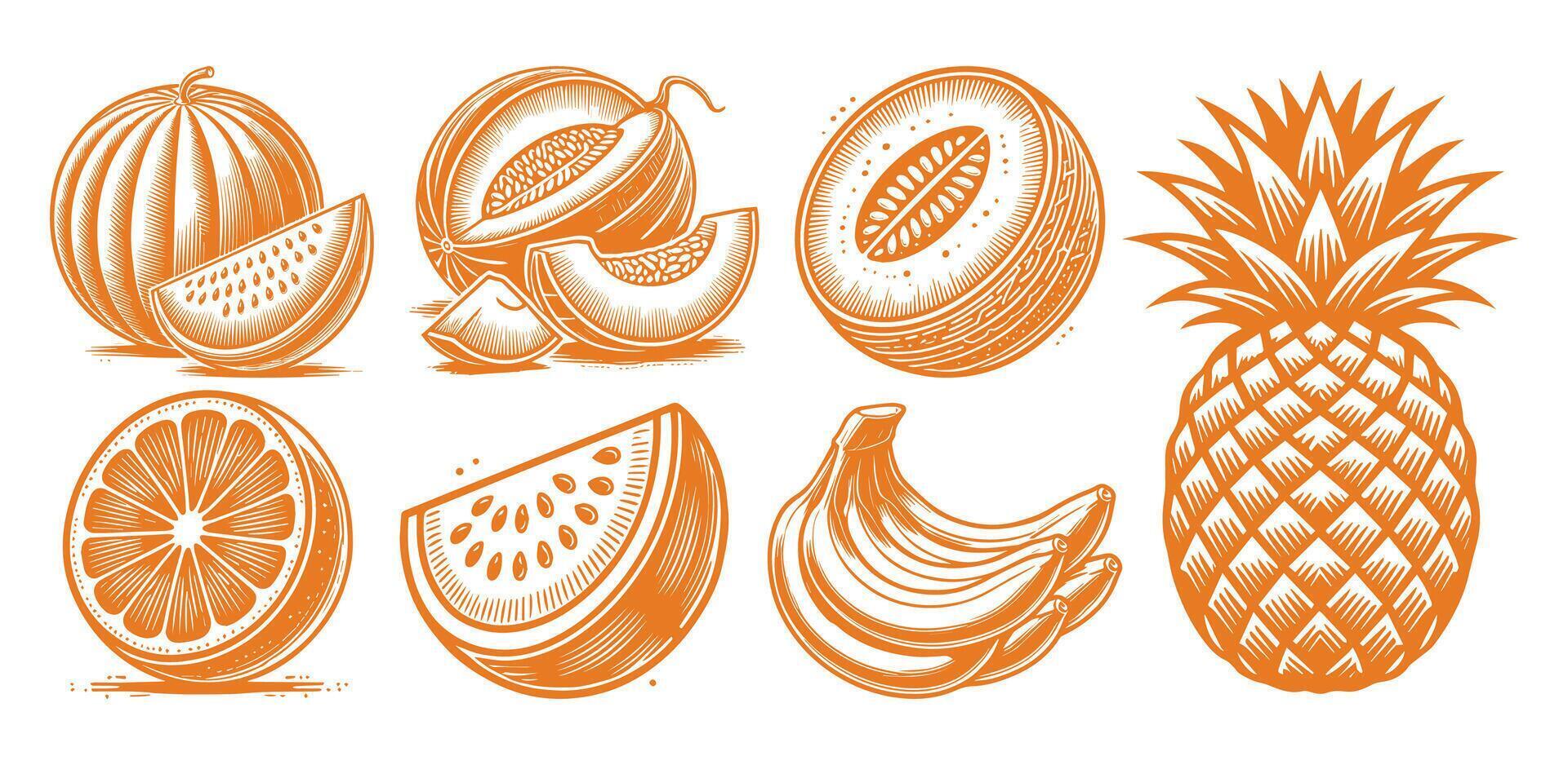 Tropical Fruits Design Set vector