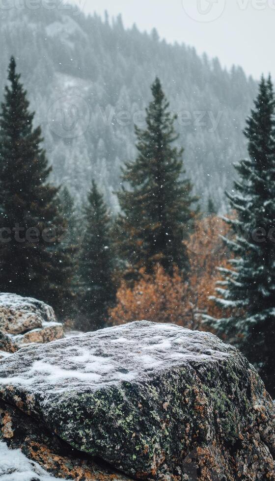 A rock covered in snow in front of a forest photo