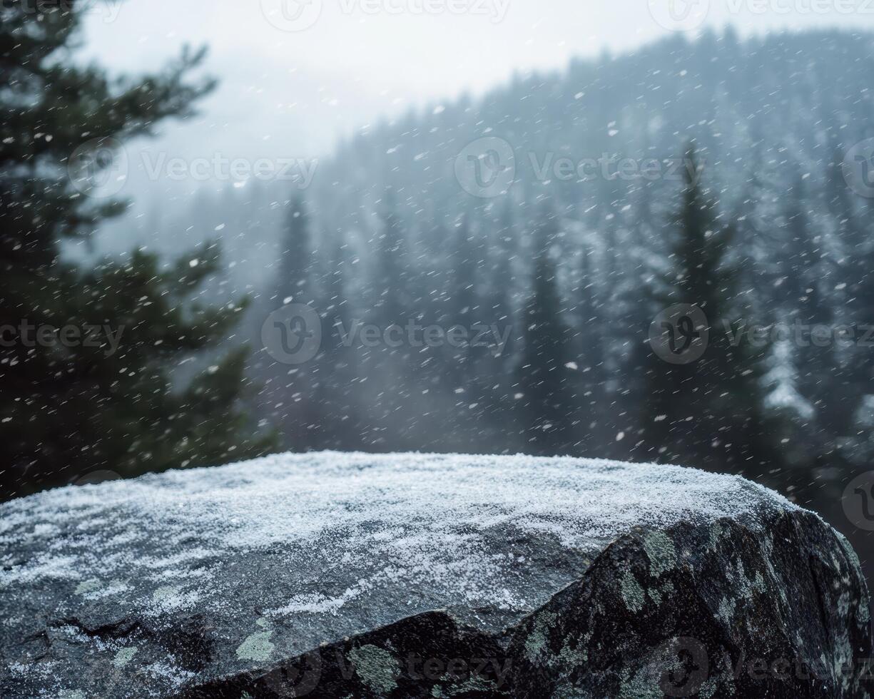 A rock covered in snow in the middle of a forest photo