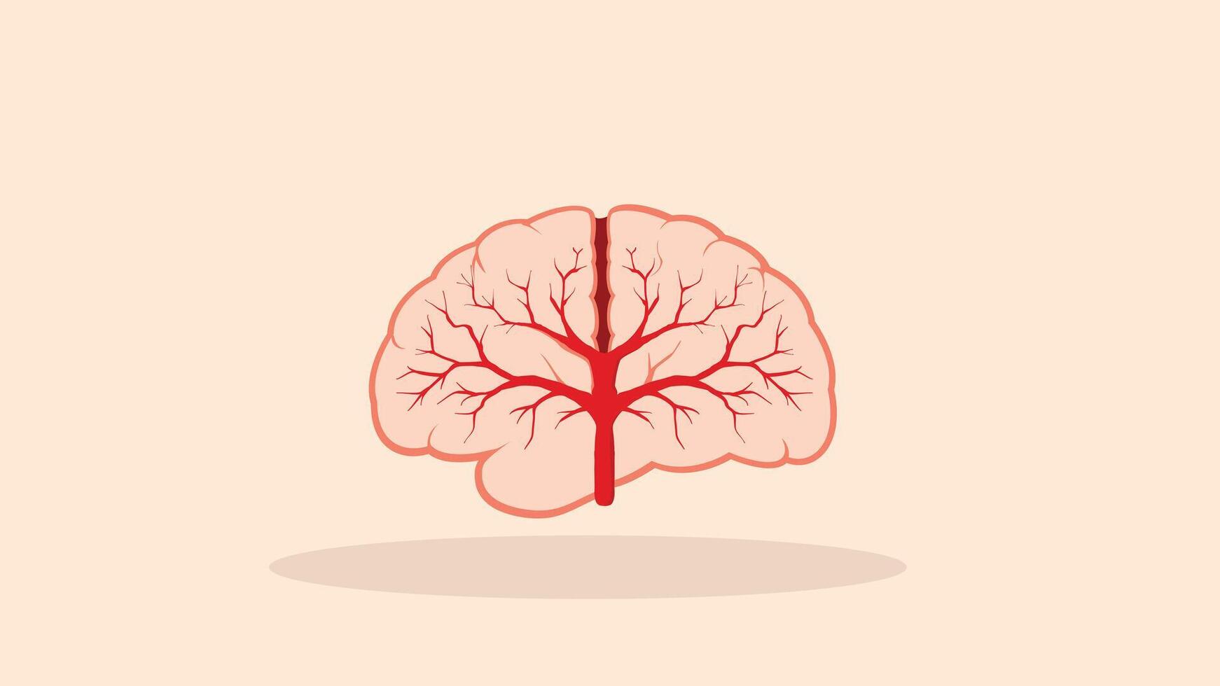 brain simple flat color vector