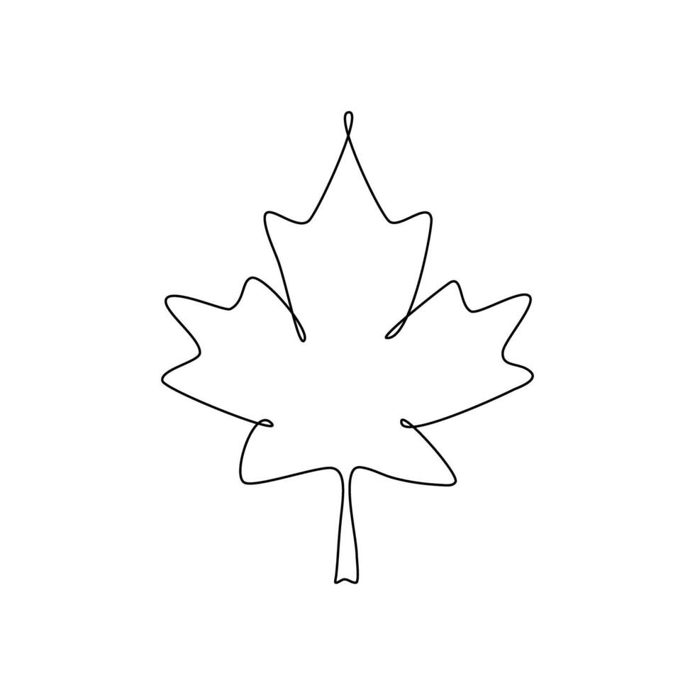 Maple leaf icon on white background. vector
