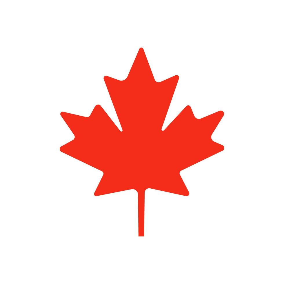 Maple leaf icon isolate on a white background. vector
