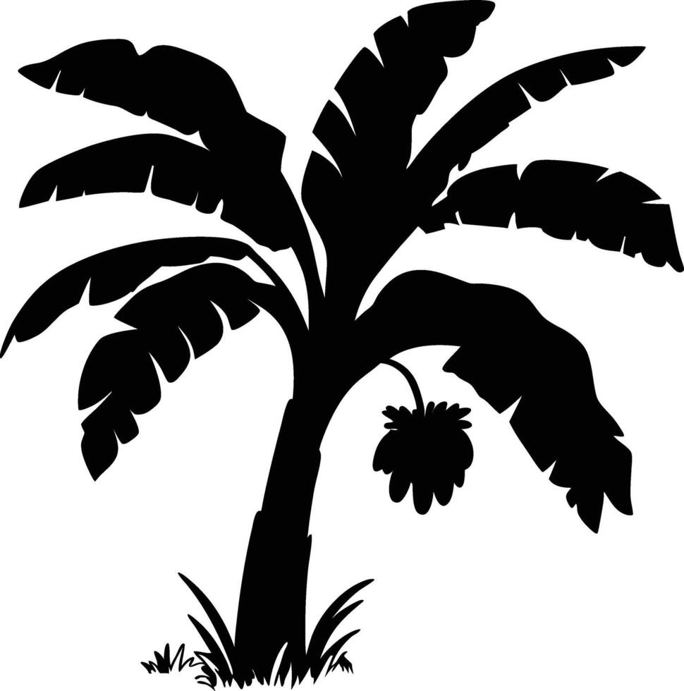 Banana tree, silhouette illustration on white background vector