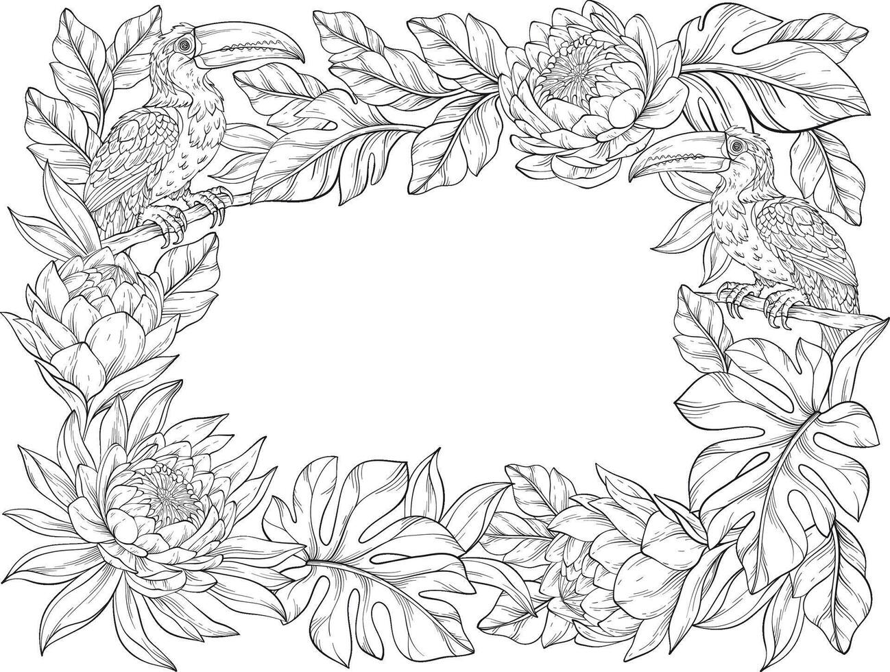 A outline illustration of a tropical floral frame with toucans, lush leaves, and exotic blooming flowers arranged around the border vector