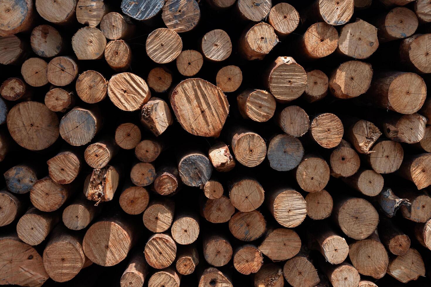 A pile of wood logs with many different sizes and shapes photo
