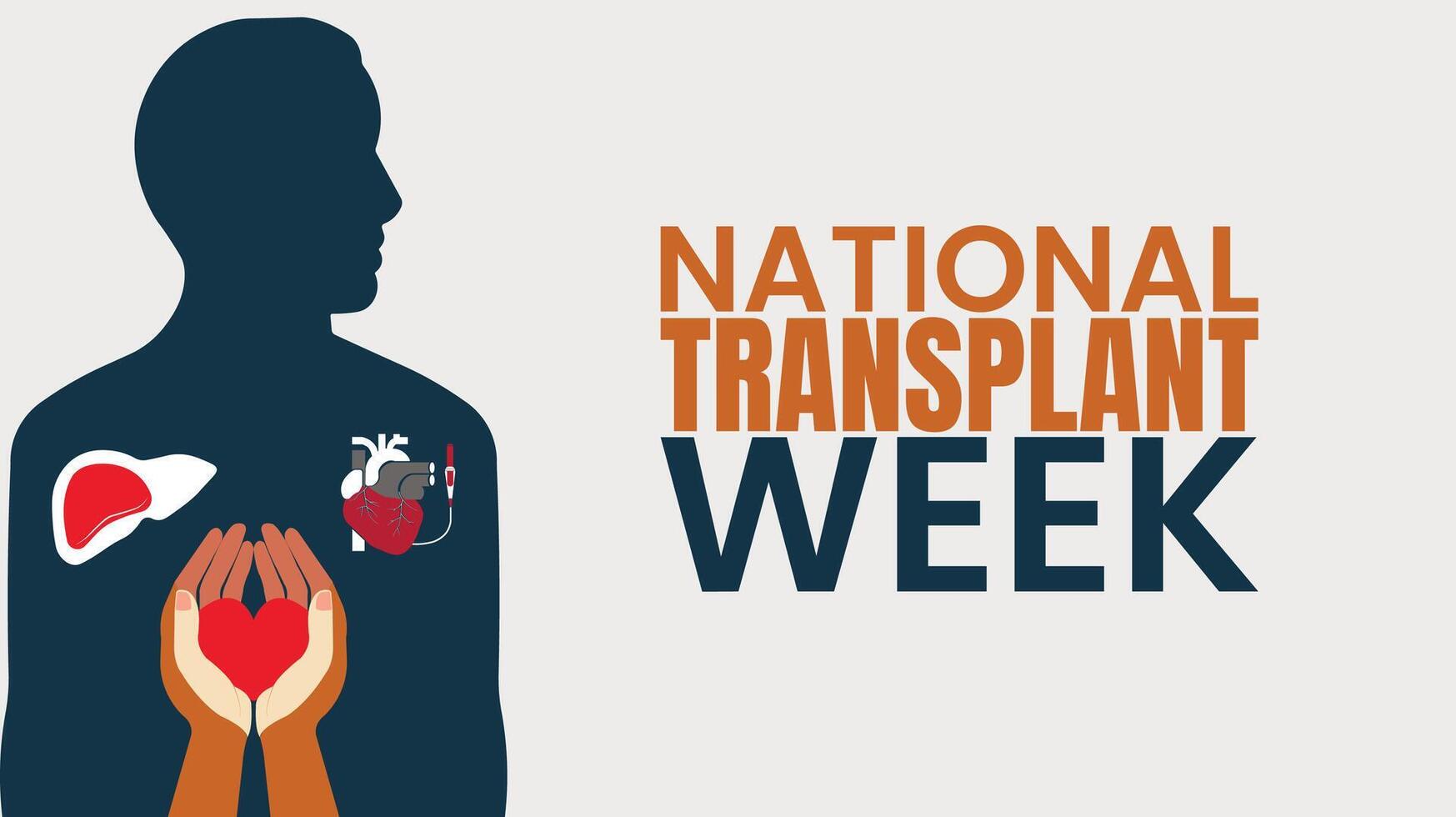National Transplant Week Give the Gift of Life Through Organ Donation vector