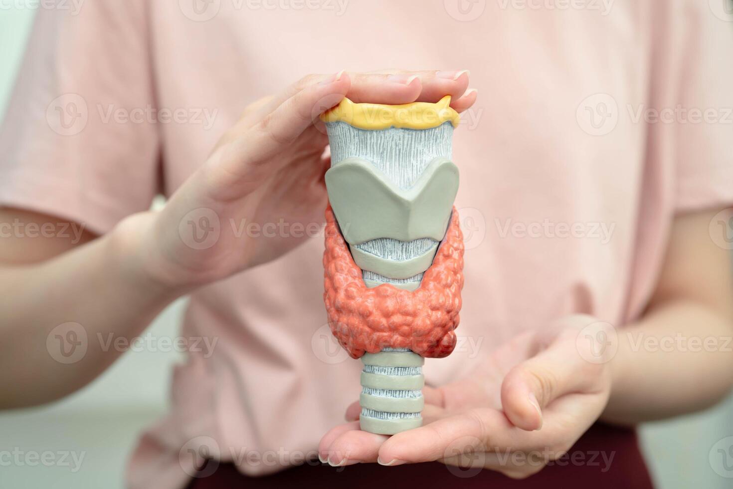 Hyperthyroidism Overactive Thyroid, Thyroid Lymphoma, Asian woman with thyroid gland human photo